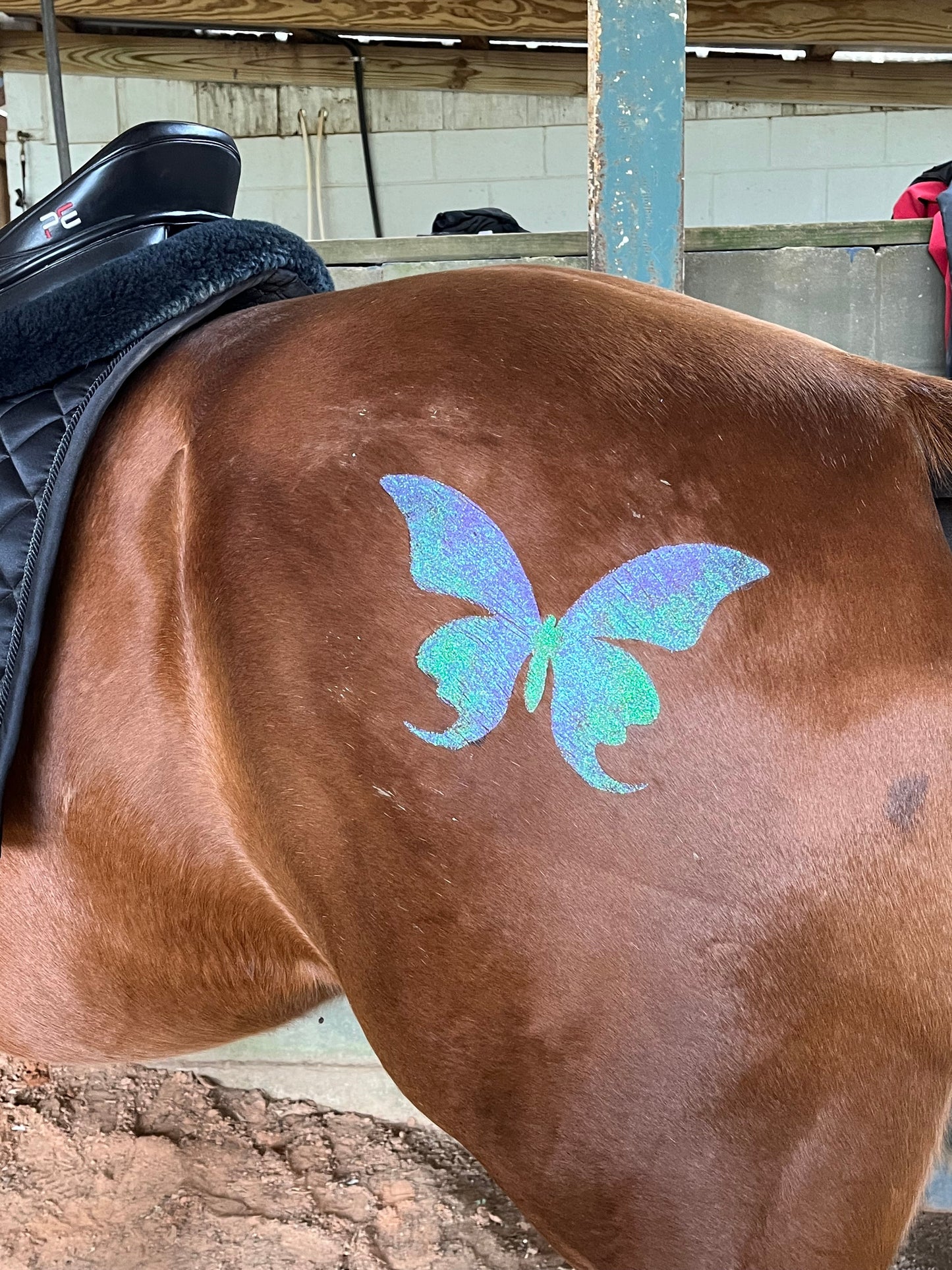 Butterfly Elegant Minimarx