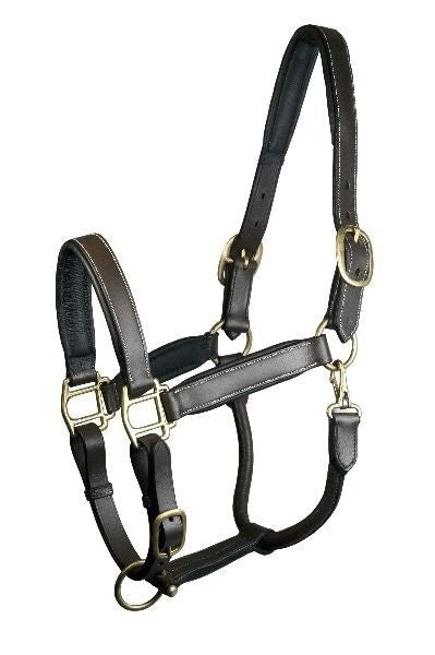 Gatsby Fully Adjust Padded Leather Halter