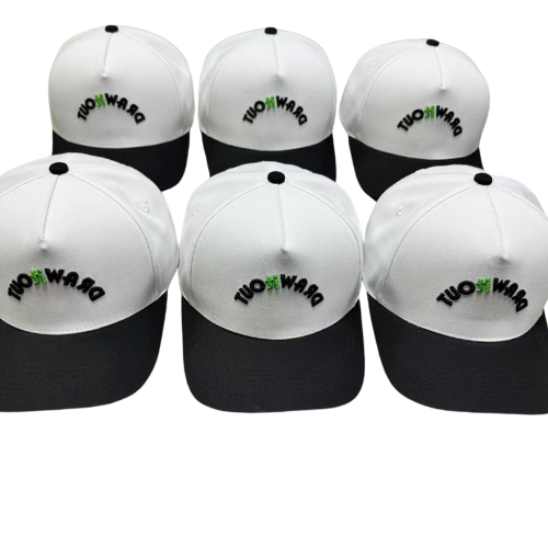 The Posty SnapBack