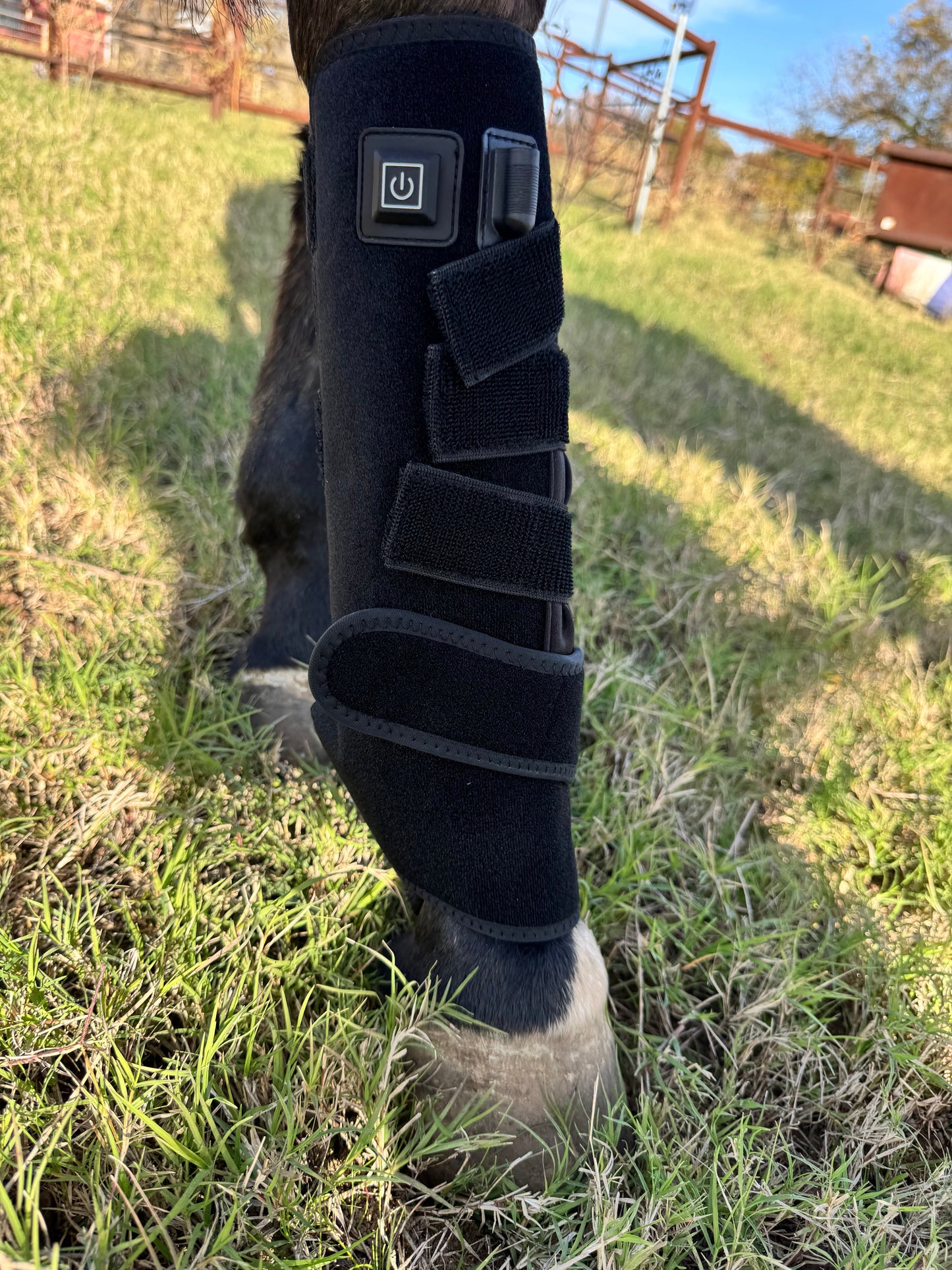 Large/Hind Red Light Therapy Tendon Boots