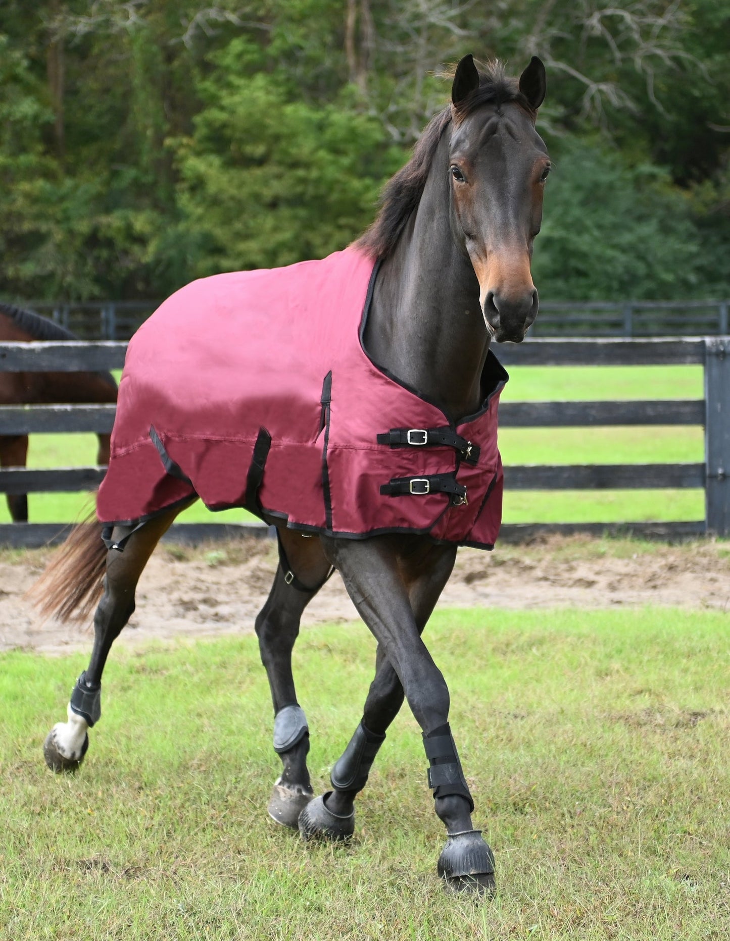 Gatsby Premium 1200D WP Turnout Blanket