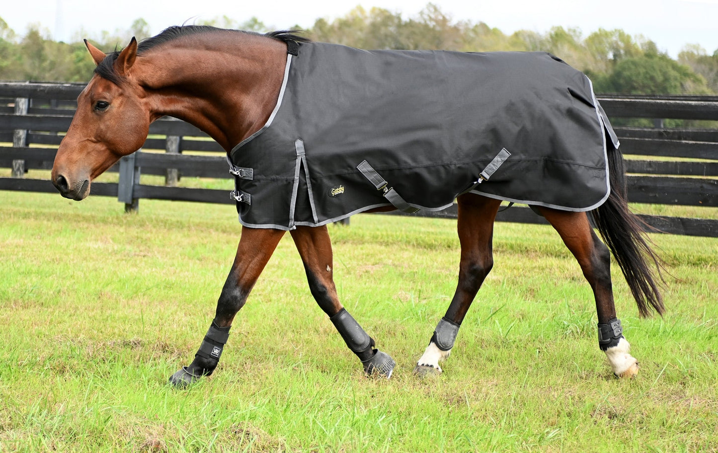 Gatsby Premium 1200D WP Turnout Blanket