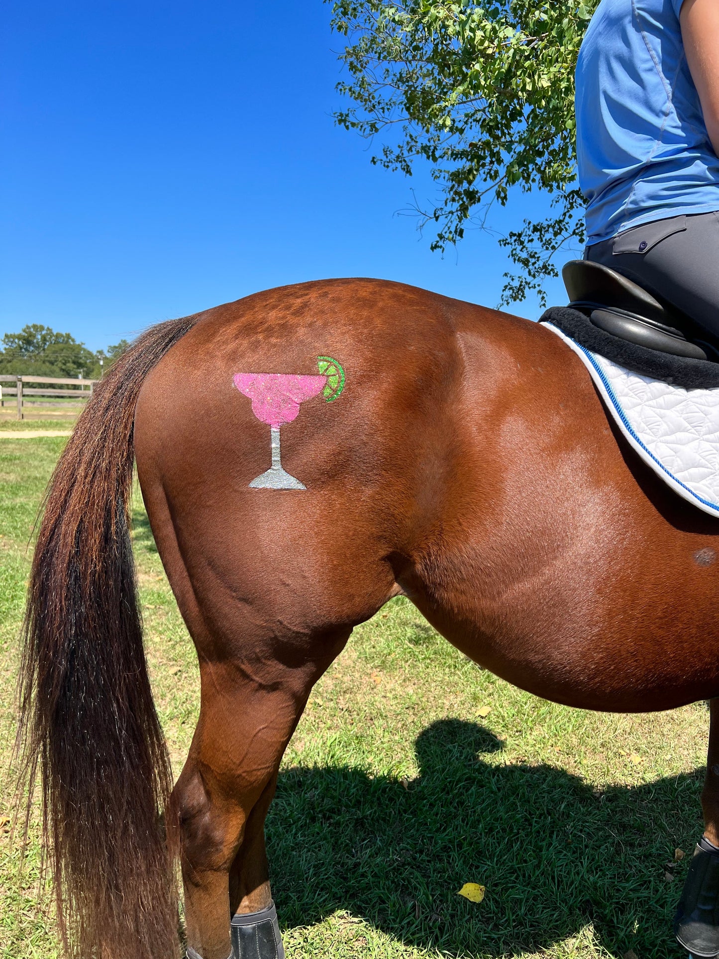 Drinks - Margarita Minimarx