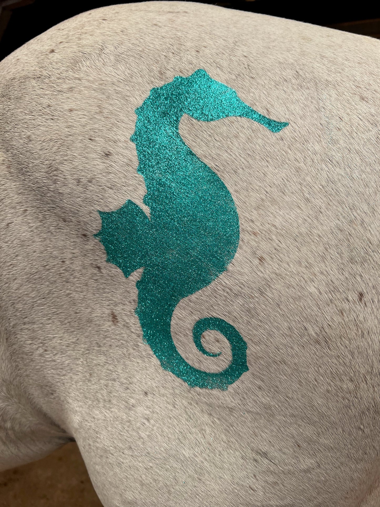 Under the Sea