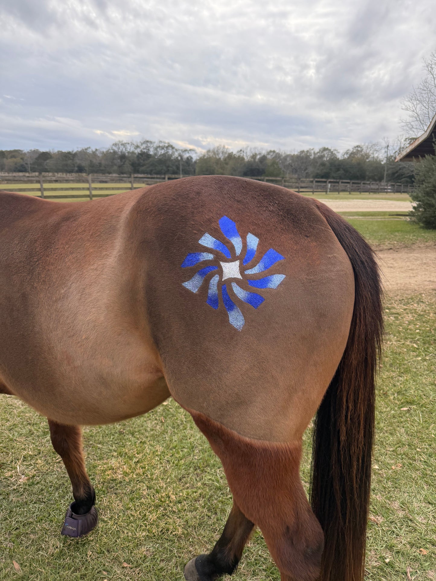 Grooving to our Anniversary