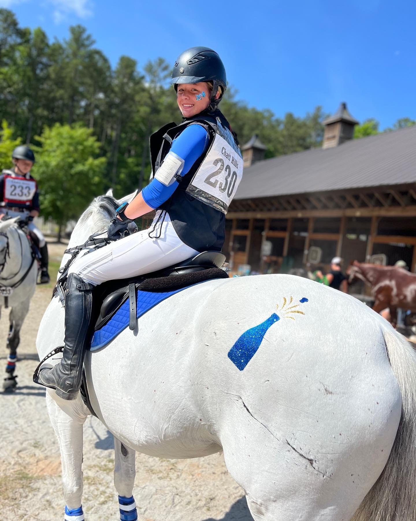 Drinks - Champagne Bottle