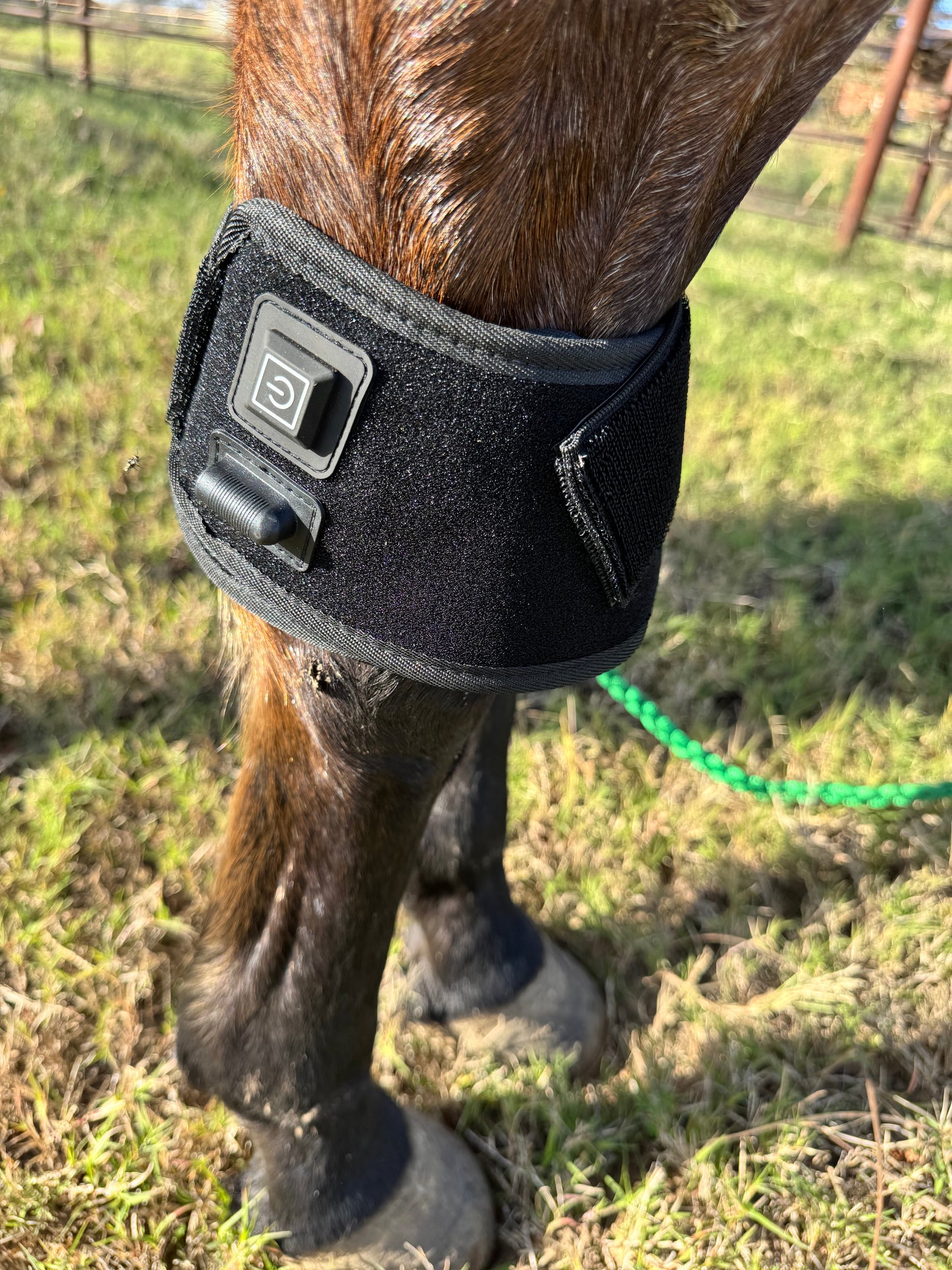 Red Light Therapy Hoof/Knee Wrap