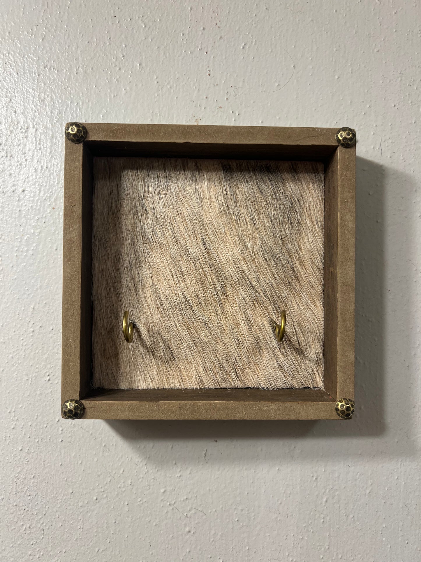 Single Buckle Display