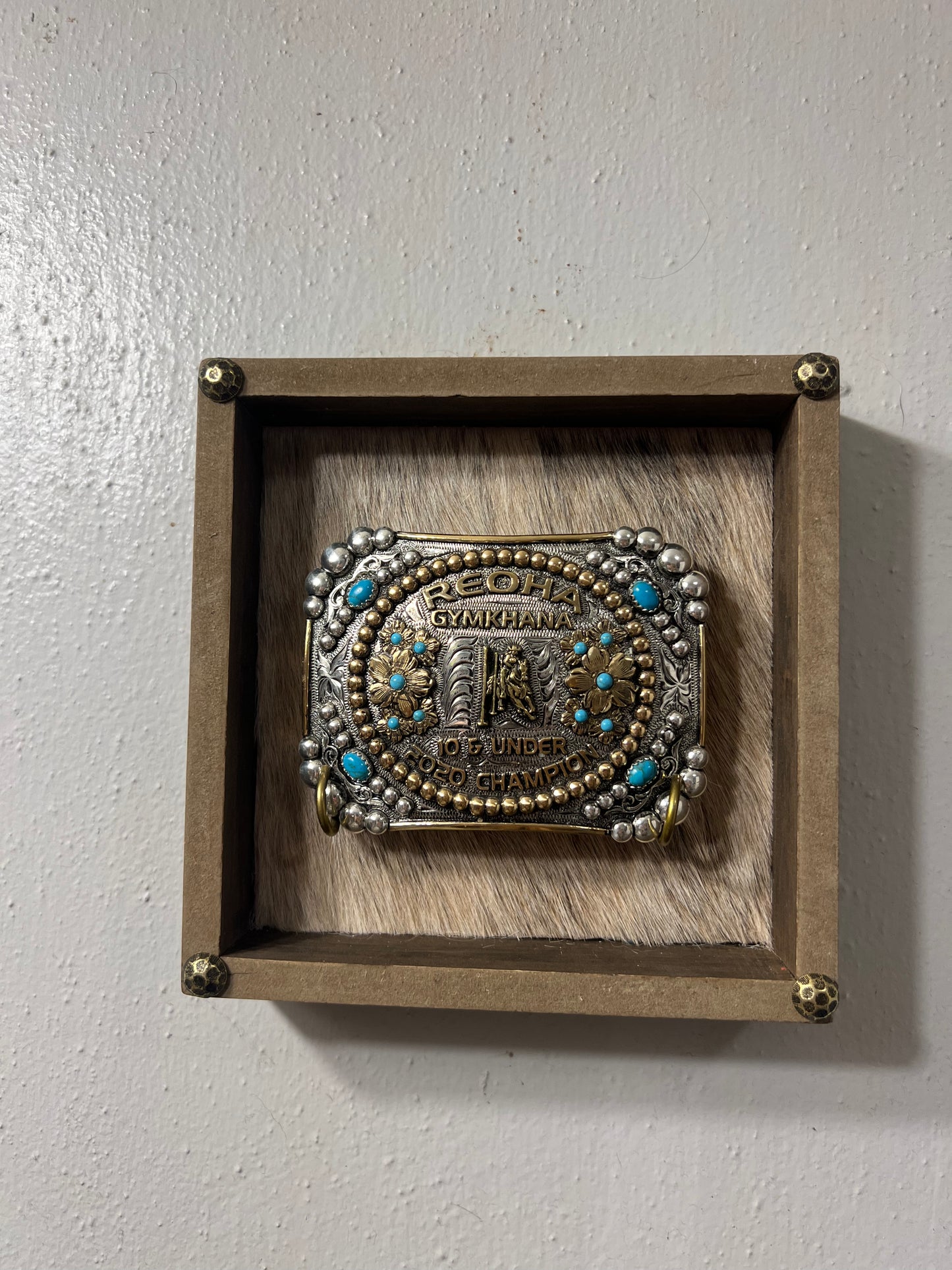 Single Buckle Display