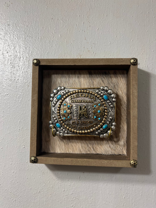 Single Buckle Display