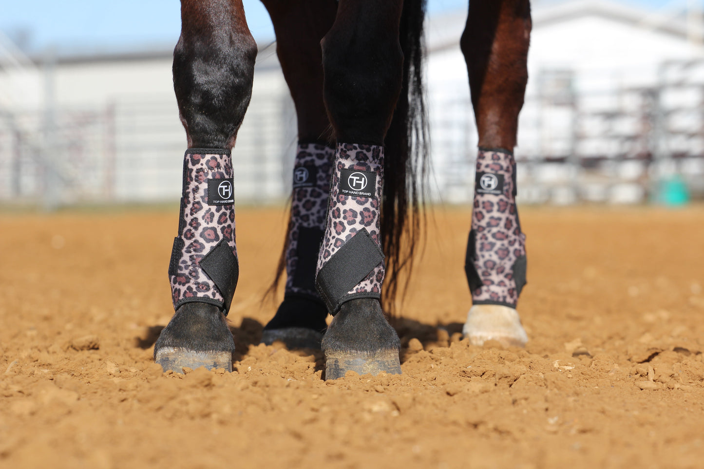 Cheetah and Black Sport Boots