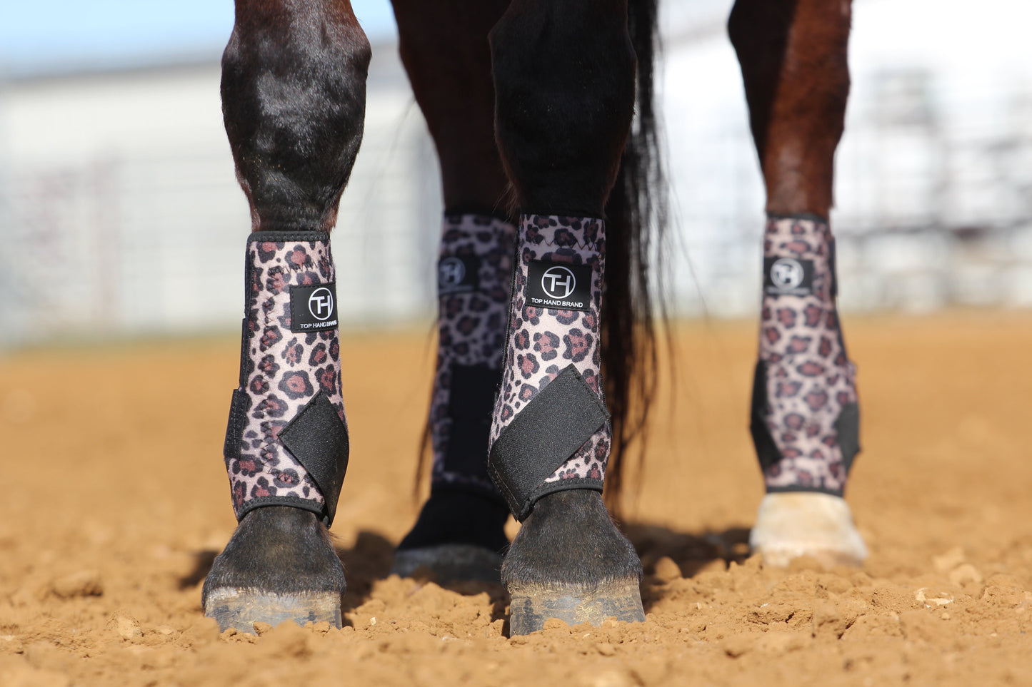 Cheetah and Black Sport Boots