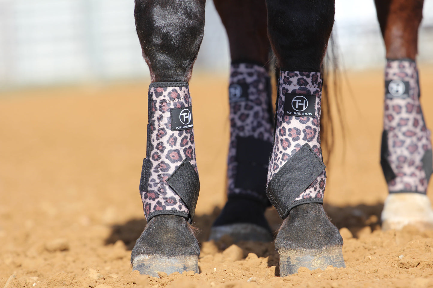 Cheetah and Black Sport Boots