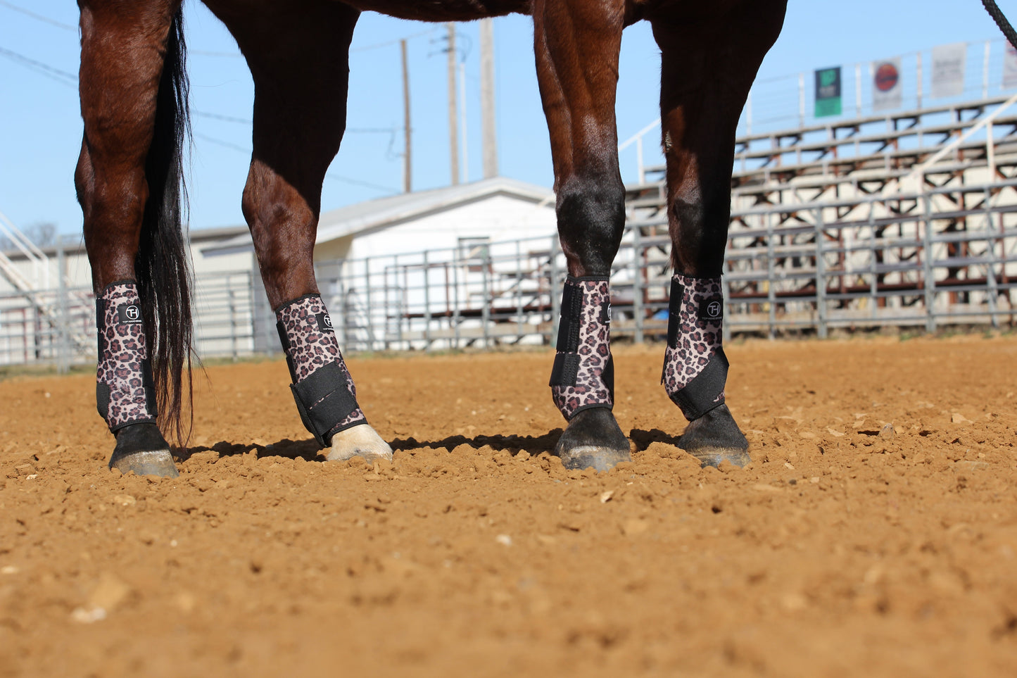 Cheetah and Black Sport Boots