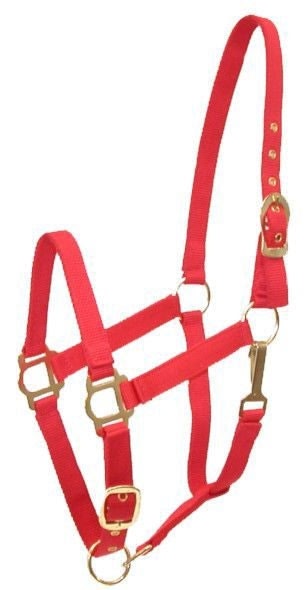 Gatsby Adj Nylon Halter/Snap