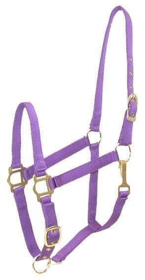Gatsby Adj Nylon Halter/Snap