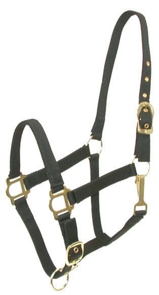 Gatsby Adj Nylon Halter/Snap