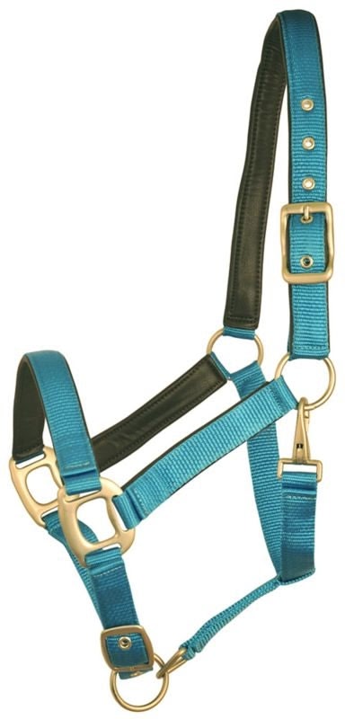 Gatsby Leather Pad Nylon Halter