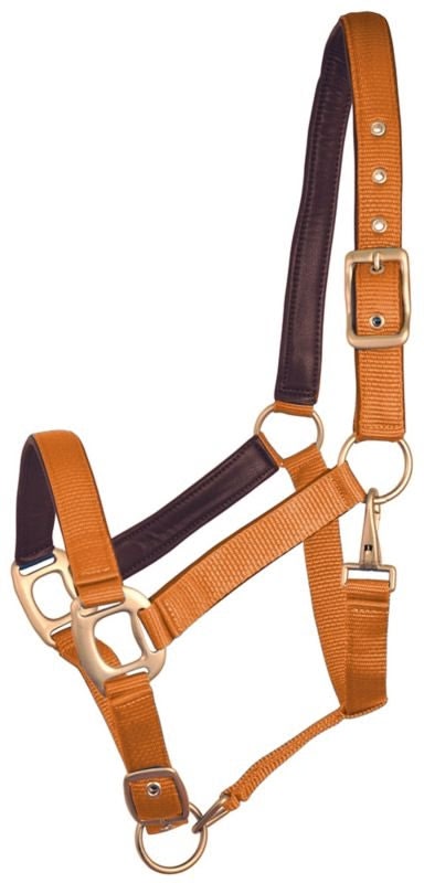 Gatsby Leather Pad Nylon Halter