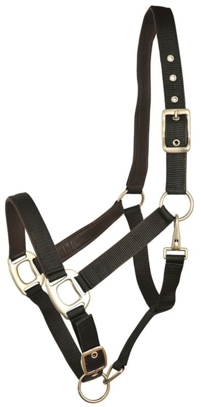 Gatsby Leather Pad Nylon Halter