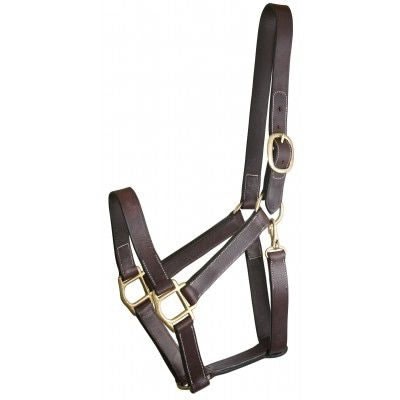 Gatsby Track Style Turnout Halter/Snap