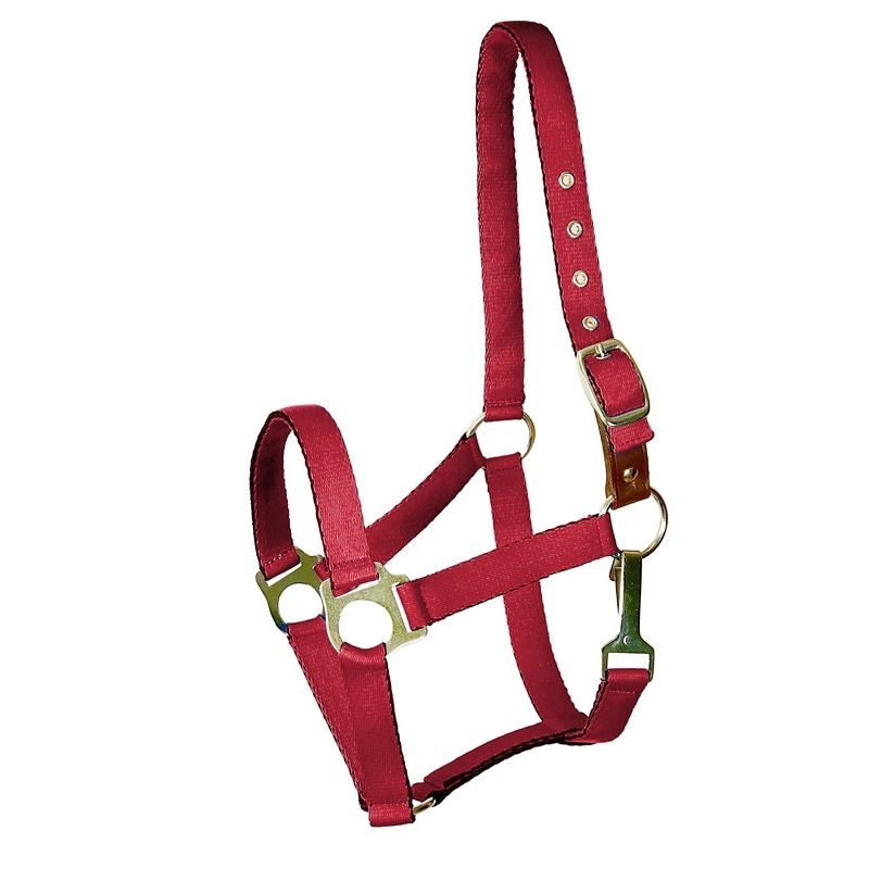 Gatsby Nylon Safety Breakaway Halter