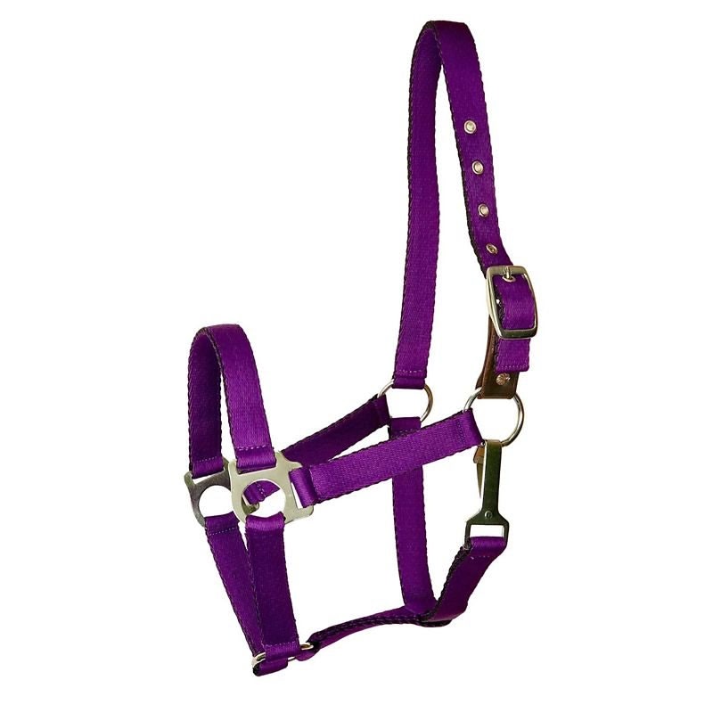 Gatsby Nylon Safety Breakaway Halter