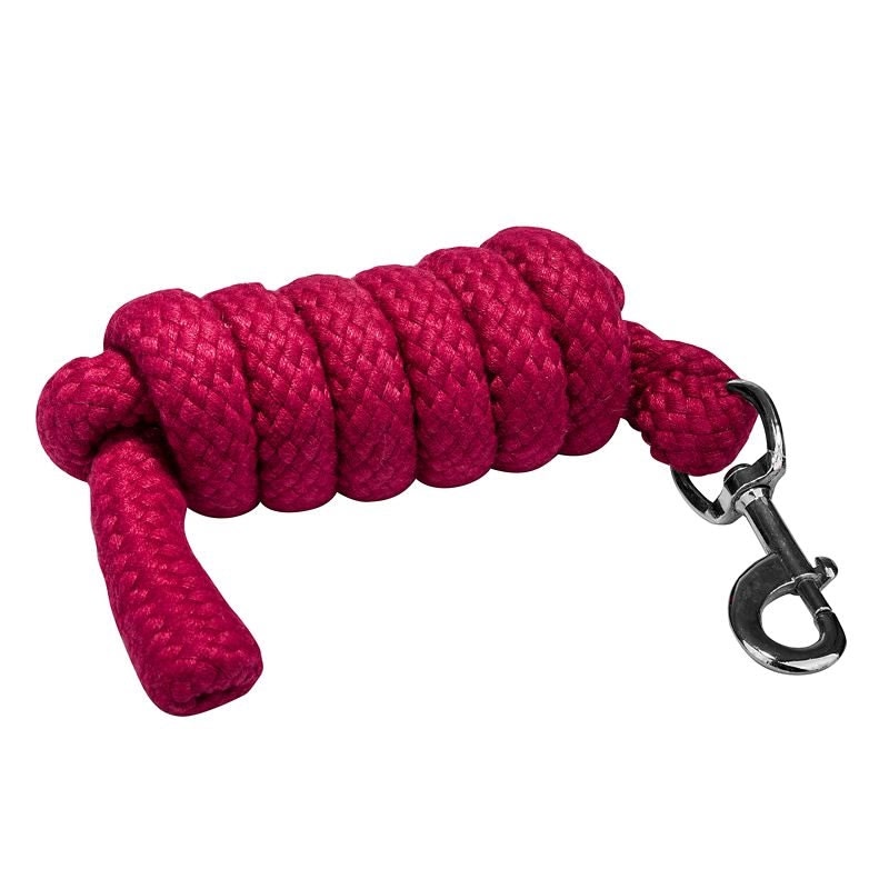 Gatsby Acrylic 6ft Lead Rope