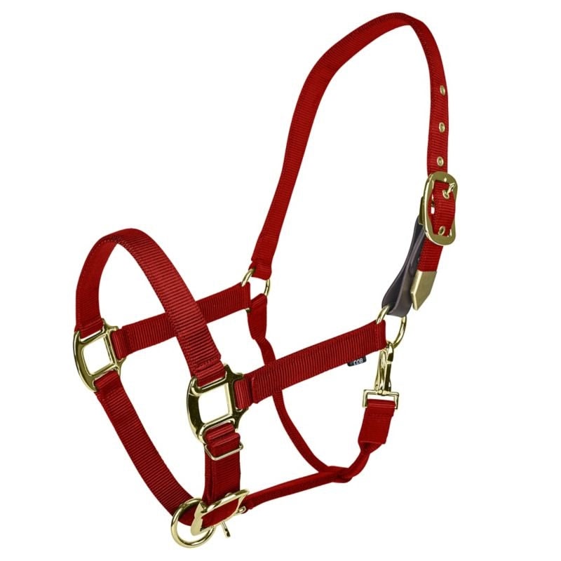 Gatsby Gold Safety Breakaway Halter