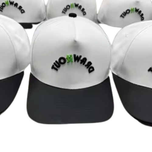 The Posty SnapBack