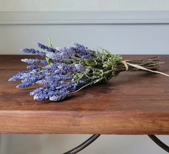 Blue Sage - 4" Sustainably Harvested