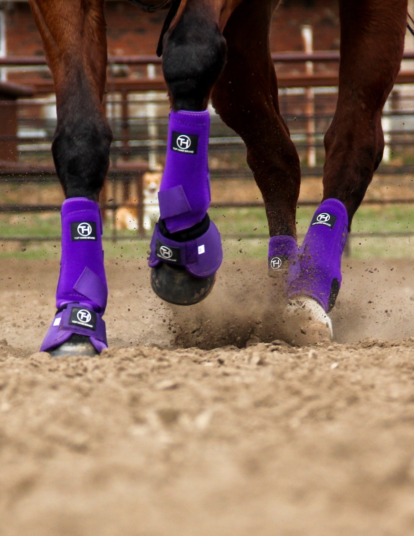 Solid Purple Sport Boot