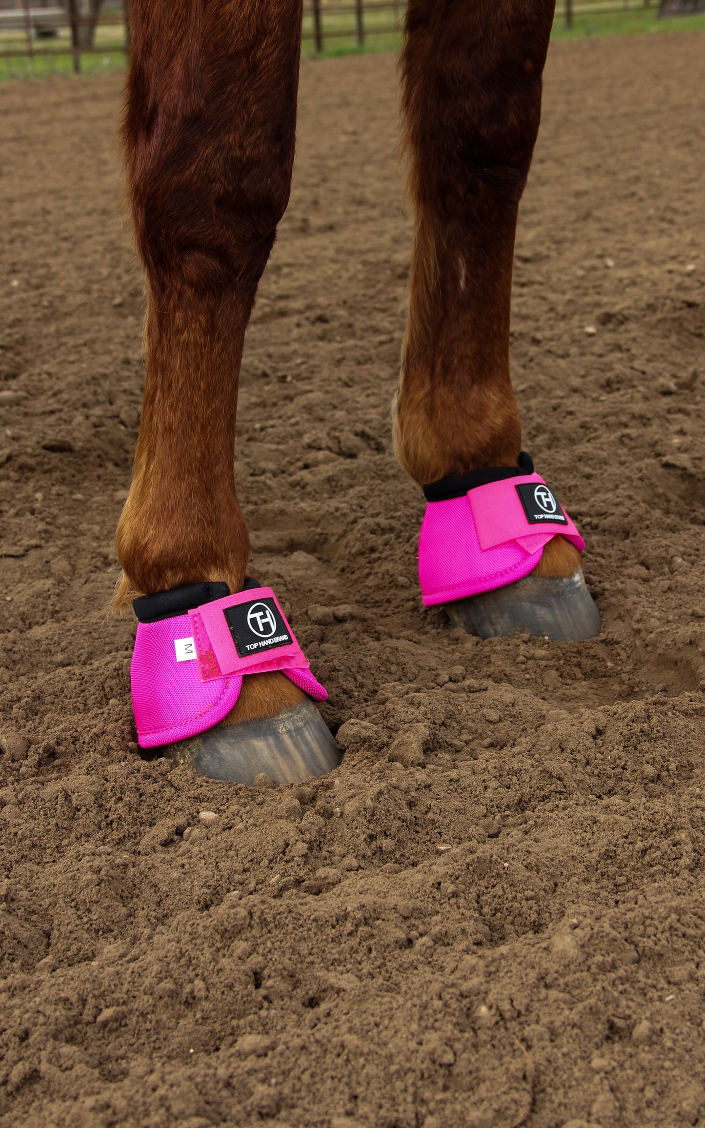 Shocking pink bell boots