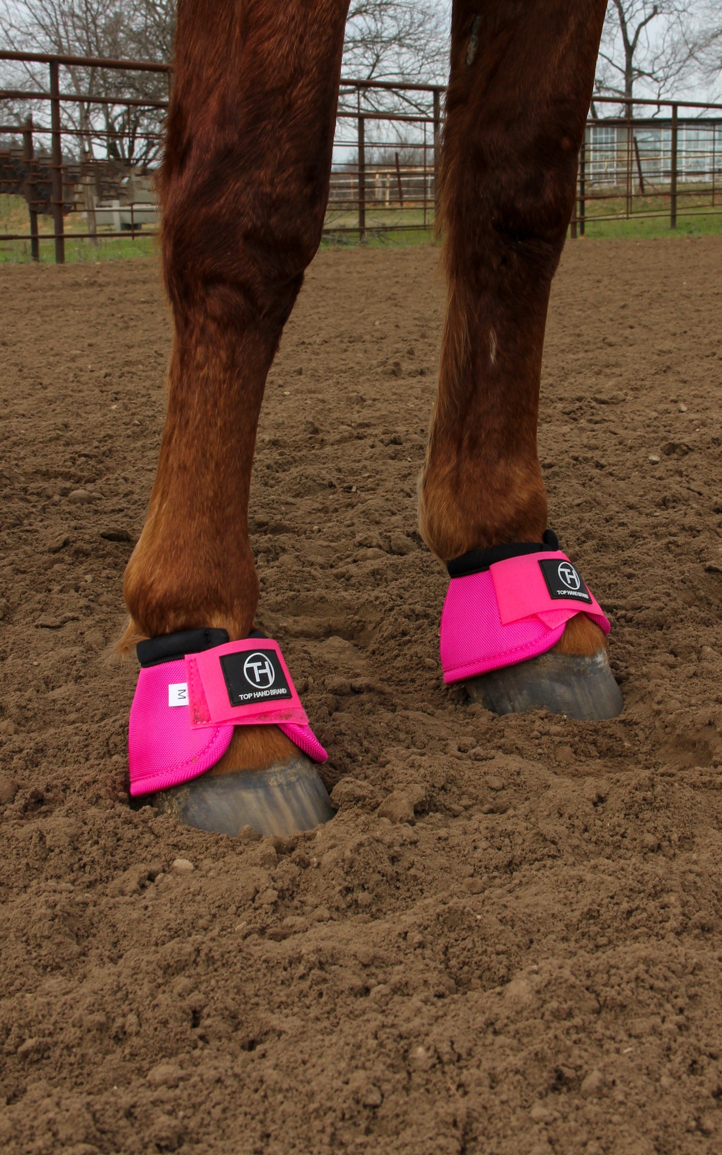 Shocking pink bell boots