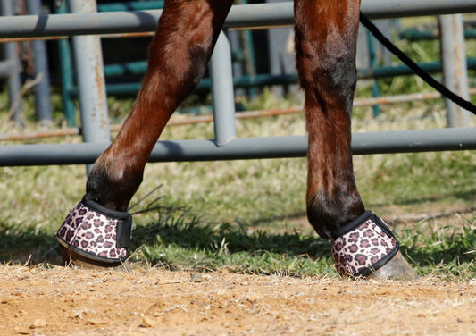 Cheetah and Black bell boots