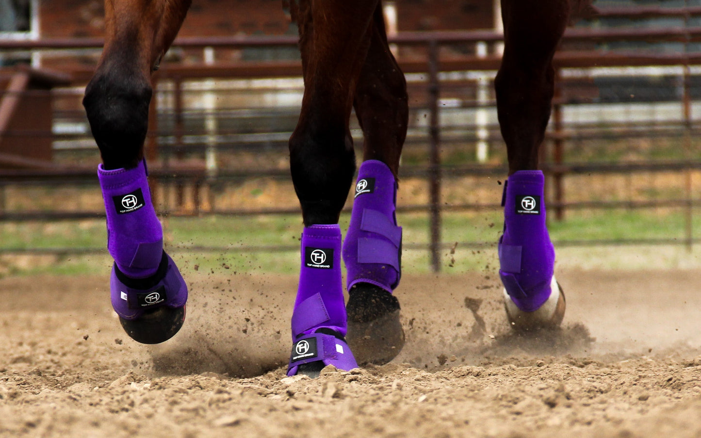 Solid Purple Sport Boot