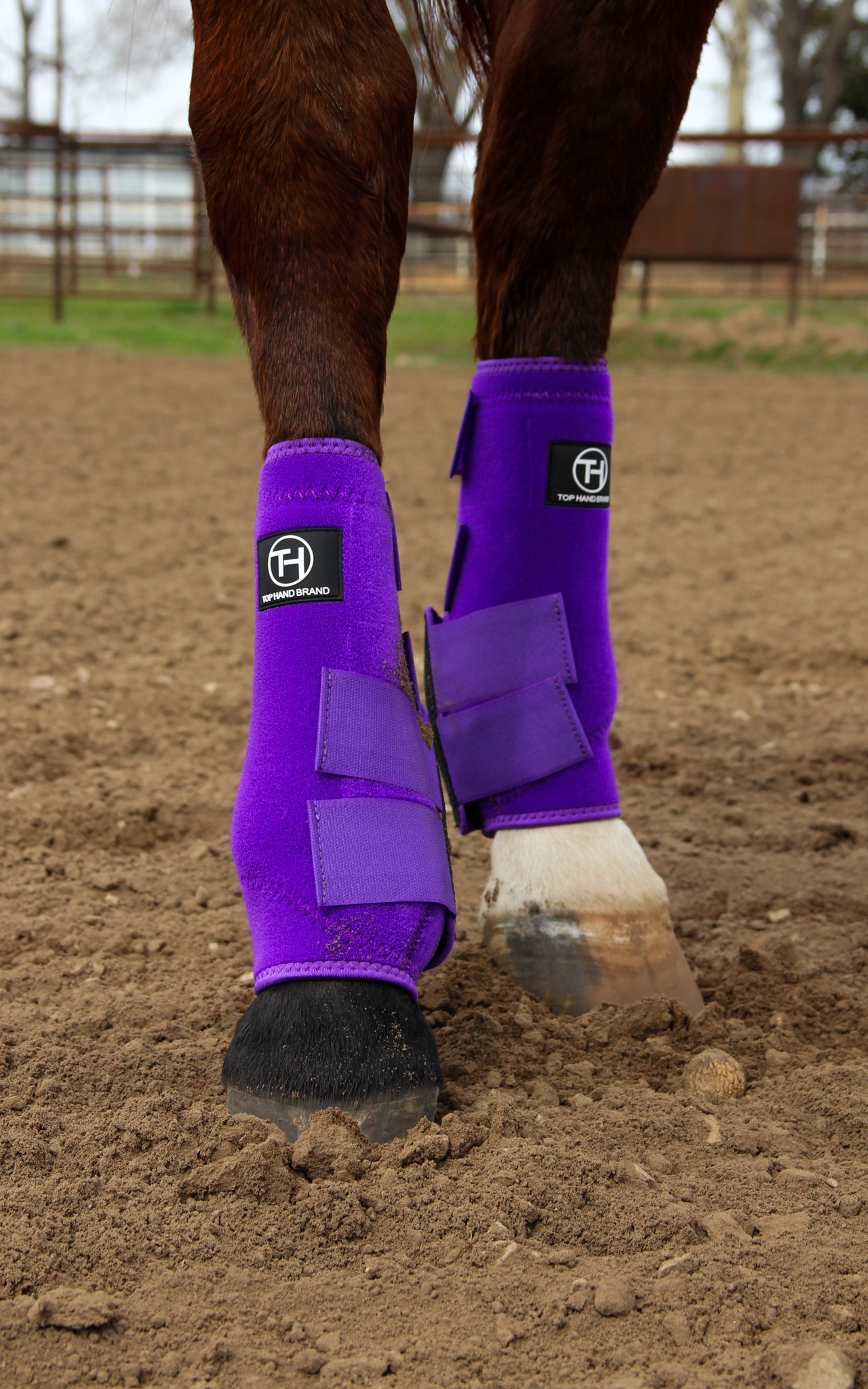 Solid Purple Sport Boot