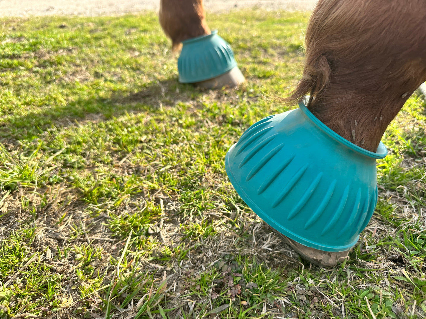 Rubber Bell Boots