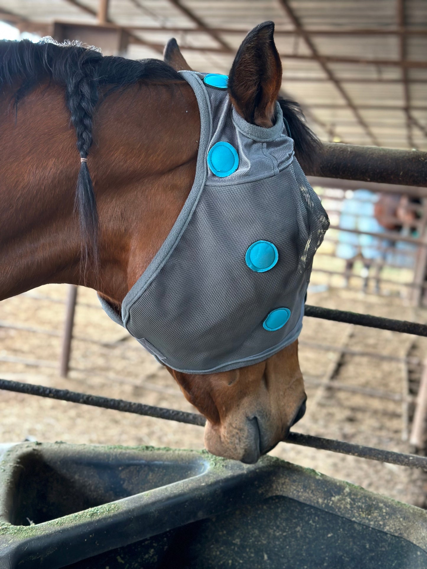 Magnetic Therapy Fly Mask