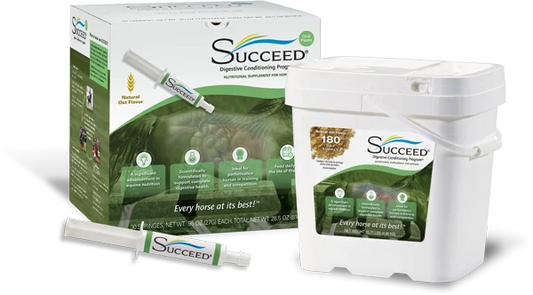 Succeed Oral Paste