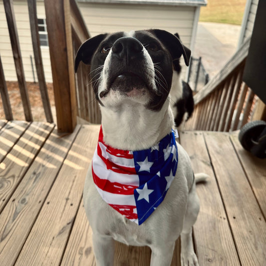 Rocket Doggie American Bandana