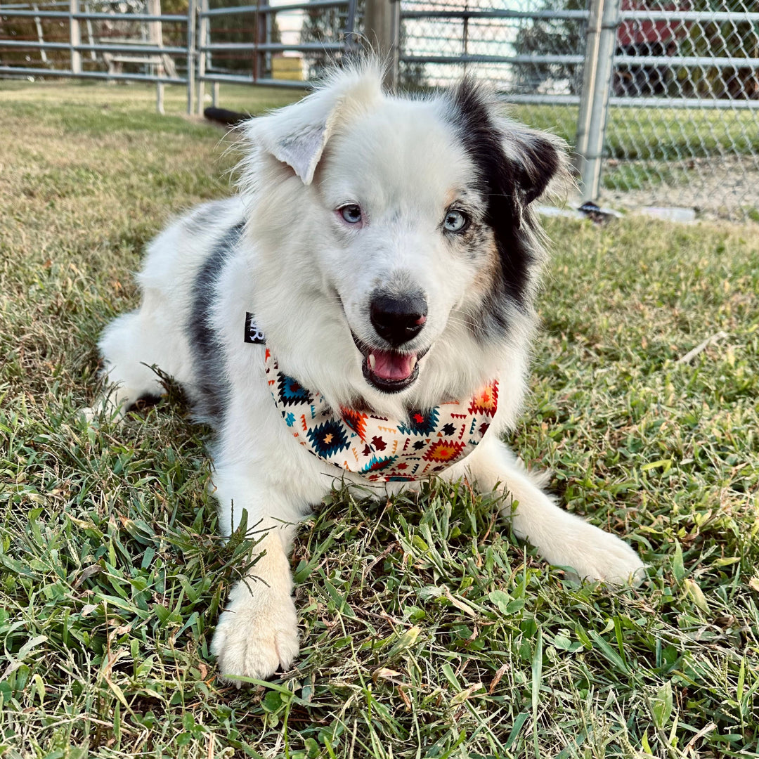 Rocket Doggie Tan Aztec Bandana